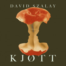 Kjøtt av David Szalay (Nedlastbar lydbok)