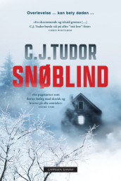 Snøblind av C.J. Tudor (Ebok)