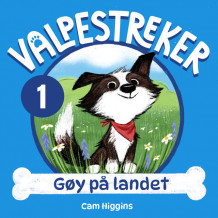 Gøy på landet av Cam Higgins (Nedlastbar lydbok)