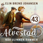 Når ulykken rammer av Elin Brend Johansen (Nedlastbar lydbok)