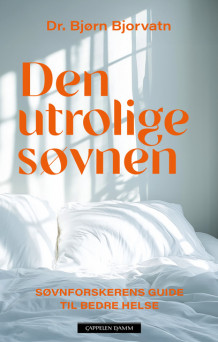 Den utrolige søvnen av Bjørn Bjorvatn (Ebok)