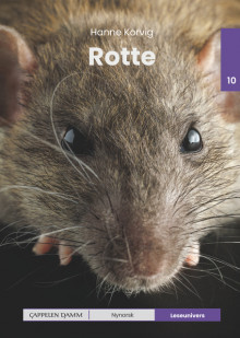 Leseunivers 10: Rotte av Hanne Korvig (Innbundet)