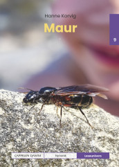 Leseunivers 9: Maur av Hanne Korvig (Innbundet)