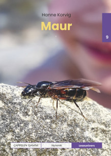 Leseunivers 9: Maur av Hanne Korvig (Innbundet)
