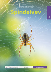 Leseunivers 9: Spindelvev av Hanne Korvig (Innbundet)