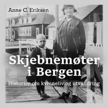 Skjebnemøter i Bergen - historier om kvinneliv og utvandring av Anne C. Eriksen (Nedlastbar lydbok)