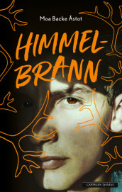 Himmelbrann av Moa Backe Åstot (Ebok)