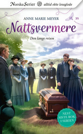 Den lange reisen av Anne Marie Meyer (Ebok)