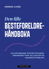 Den lille besteforeldrehåndboka av Ingrid Lund (Ebok)