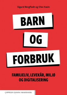 Barn og forbruk av Sigurd Bergflødt og Olav Kasin (Heftet)