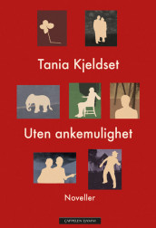 Uten ankemulighet av Tania Kjeldset (Ebok)