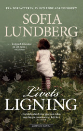 Livets ligning av Sofia Lundberg (Ebok)