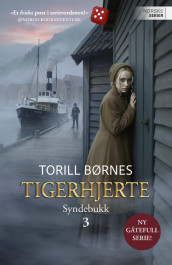 Syndebukk av Torill Karina Børnes (Ebok)
