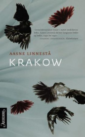 Krakow av Aasne Linnestå (Heftet)