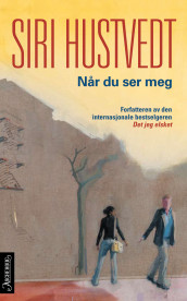 Når du ser meg av Siri Hustvedt (Innbundet)