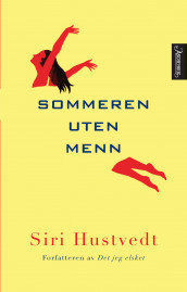 Sommeren uten menn av Siri Hustvedt (Innbundet)