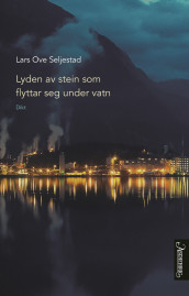 Lyden av stein som flyttar seg under vatn av Lars Ove Seljestad (Innbundet)