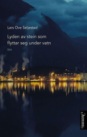 Lyden av stein som flyttar seg under vatn av Lars Ove Seljestad (Ebok)