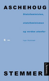 Statsfeministen, statsfeminismen og verden utenfor av Inger Skjelsbæk (Ebok)