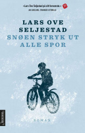Snøen stryk ut alle spor av Lars Ove Seljestad (Innbundet)