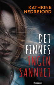 Det finnes ingen sannhet av Kathrine Nedrejord (Ebok)