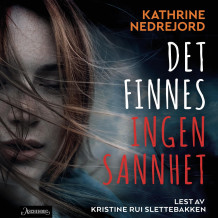 Det finnes ingen sannhet av Kathrine Nedrejord (Nedlastbar lydbok)