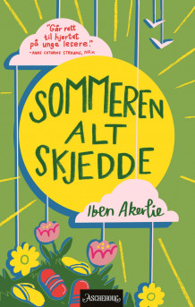 Sommeren alt skjedde av Iben Akerlie (Innbundet)