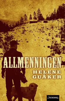 Allmenningen av Helene Guåker (Innbundet)