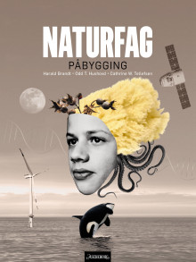 Naturfag påbygging vg3 av Harald Brandt, Odd Toralf Hushovd og Cathrine W. Tellefsen (Heftet)