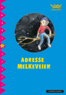 Damms leseunivers 1: Adresse Melkeveien av Malin Blomberg Wedsberg (Heftet)