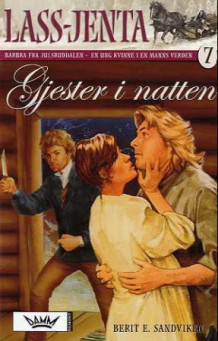 Gjester i natten av Berit Elisabeth Sandviken (Heftet)