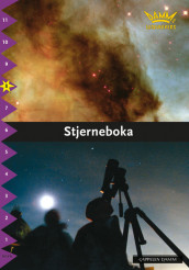 Damms leseunivers 1: Stjerneboka av Marie Rådbo (Heftet)