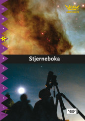 Damms leseunivers 1: Stjerneboka av Marie Rådbo (Heftet)