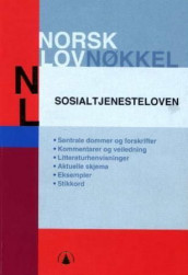 Sosialtjenesteloven av Kristian Andenæs (Heftet)