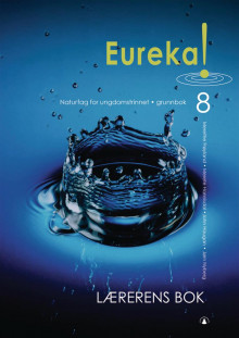 Eureka! 8 av Merete Hannisdal, John Haugan, Jørn Nyberg og Merethe Frøyland (Heftet)