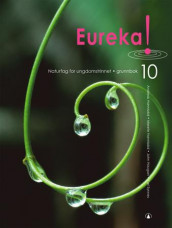 Eureka! 10 av Andreas Hannisdal, Merete Hannisdal, John Haugan og Kari Synnes (Innbundet)