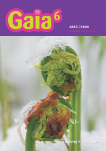 Gaia 6 av Ingrid Spilde og Arnfinn Christensen (Heftet)