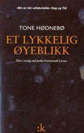 Et lykkelig øyeblikk av Tone Hødnebø (Heftet)