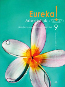 Eureka! 9 av Merethe Frøyland, Merete Hannisdal og John Haugan (Heftet)