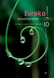 Eureka! 10 av Andreas Hannisdal, Merete Hannisdal, John Haugan og Kari Synnes (Heftet)