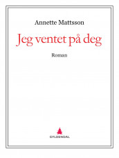 Jeg ventet på deg av Annette Mattsson (Ebok)