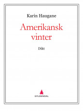 Amerikansk vinter av Karin Haugane (Ebok)