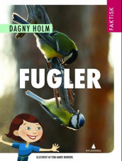 Fugler av Dagny Holm (Innbundet)