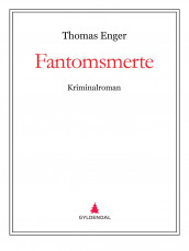 Fantomsmerte av Thomas Enger (Ebok)