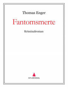 Fantomsmerte av Thomas Enger (Ebok)