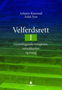 Velferdsrett I av Asbjørn Kjønstad og Aslak Syse (Heftet)