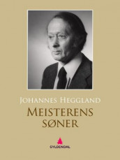 Meisterens søner av Johannes Heggland (Ebok)