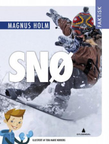 Faktisk snø av Magnus Holm (Innbundet)