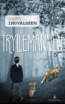 Tryllemannen av Bjørn Ingvaldsen (Innbundet)