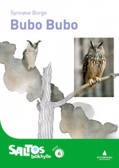 Bubo Bubo av Synnøve Borge (Heftet)